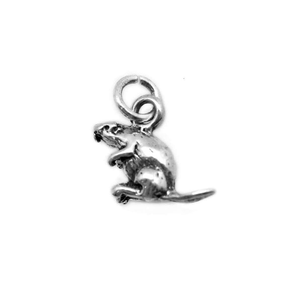 Squirrel Charm - Ali Wholesale Express