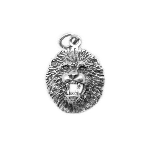 Large Lion's Head Charm - Ali Wholesale Express