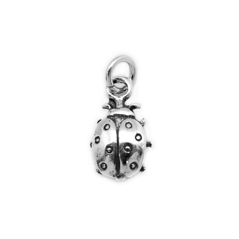 Ladybug Charm - Ali Wholesale Express