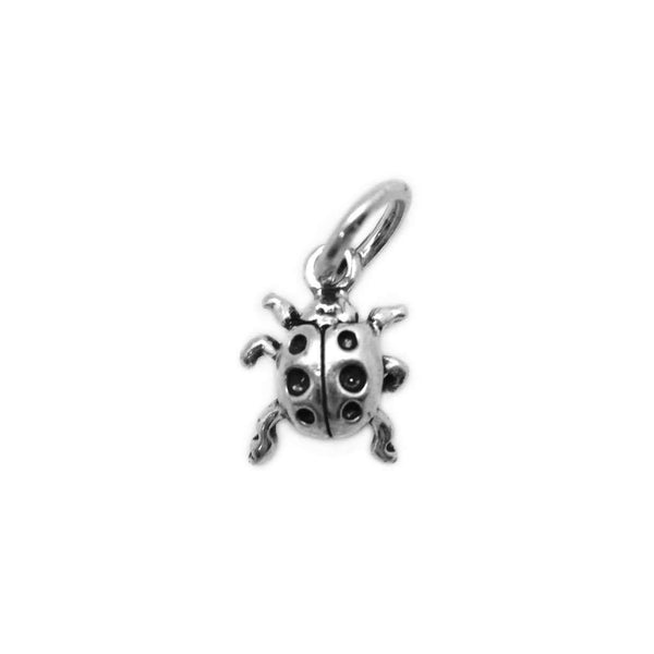 Little Ladybug Charm - Ali Wholesale Express