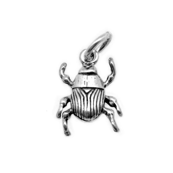 Beetle Charm - Ali Wholesale Express