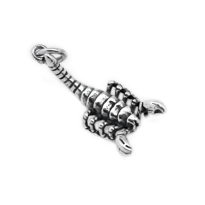 Scorpion Charm - Ali Wholesale Express